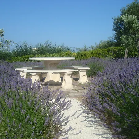 Couette-café Rose Hill Beauvallon (Var)